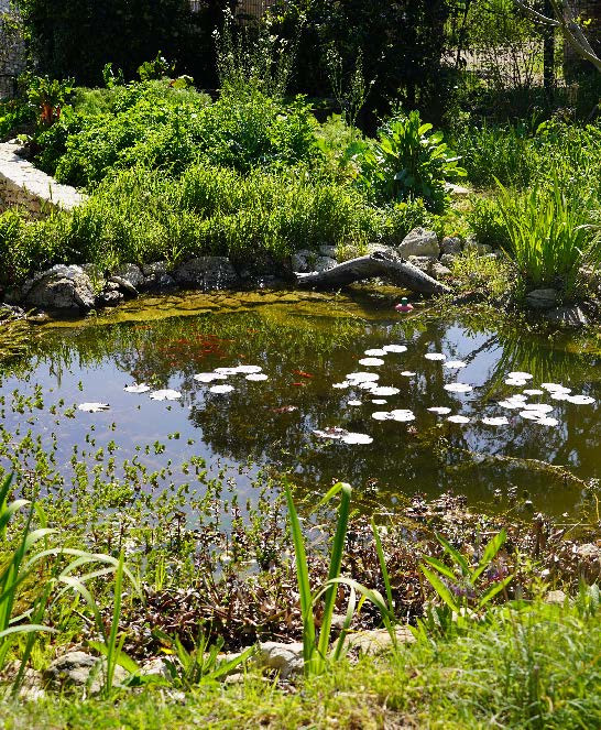F&ecirc;te de la nature - &Eacute;veil des 5 sens