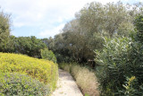 IMG-0292-3