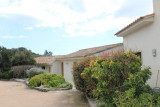 IMG-0295-3