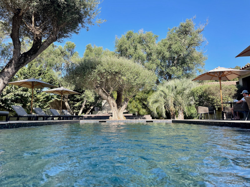 E-tre-stelle-hôtel-corsica-piscine.jpg