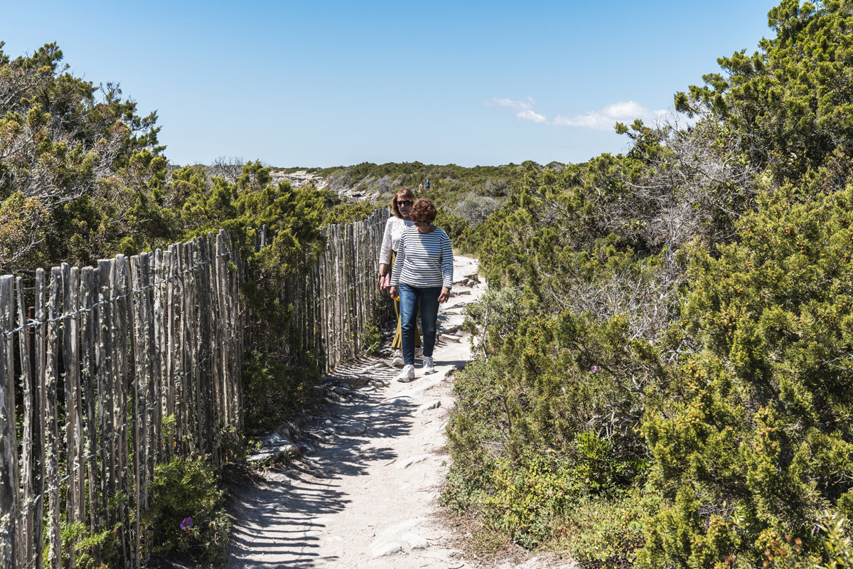 19-campu-rumanilu-omtb-s-leroy-371386