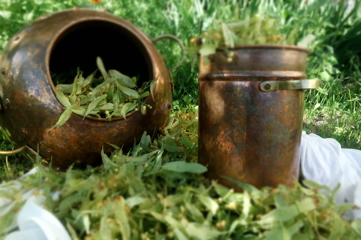 atelier-de-distilliation-de-plantes-aromatiques-bonifacio atelier-de-distilliation-de-plantes-aromatiques-bonifacio