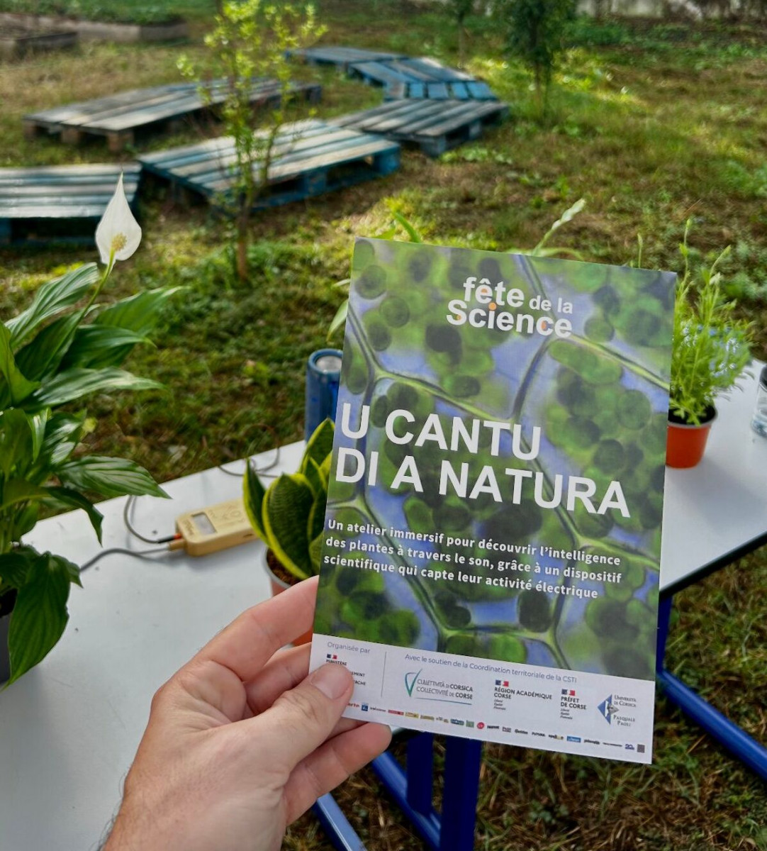 balade-sonore-u-cantu-di-a-natura-bonifacio balade-sonore-u-cantu-di-a-natura-bonifacio