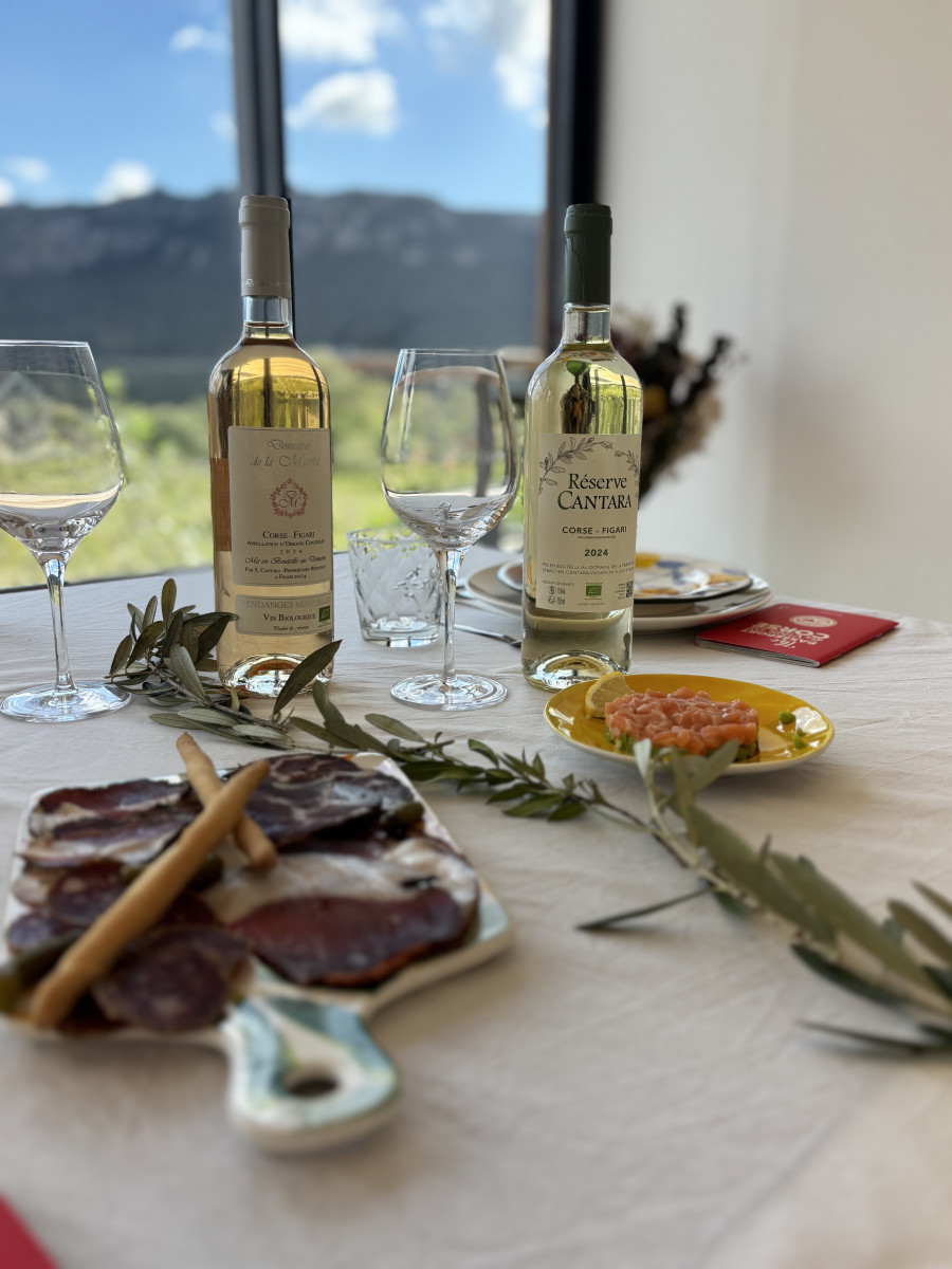 dejeuner-en-cave-domaine-de-la-murta