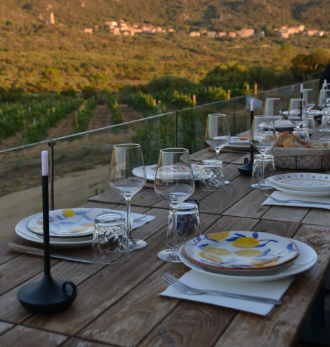 dejeuner-en-cave-domaine-de-la-murta