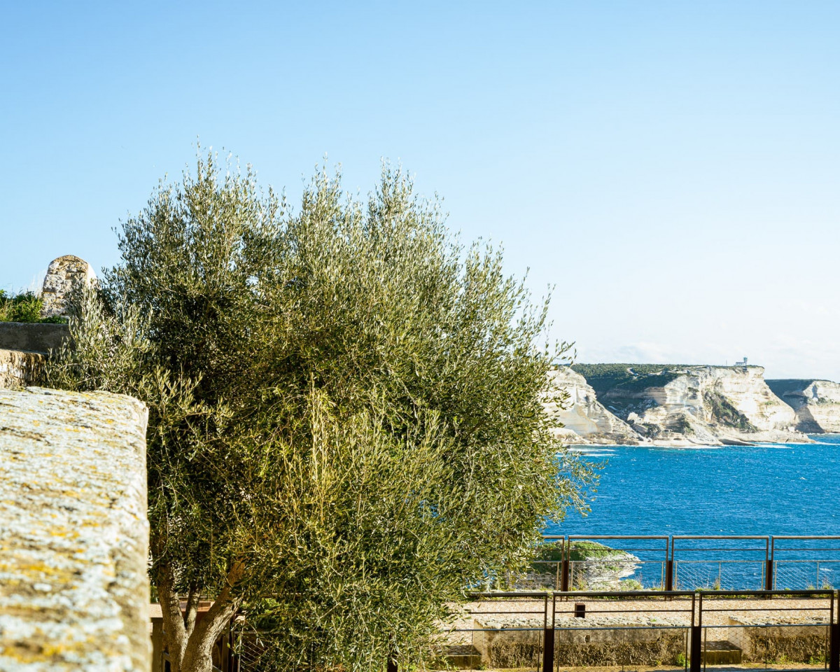 escalier-roy-d-aragon-bonifacio