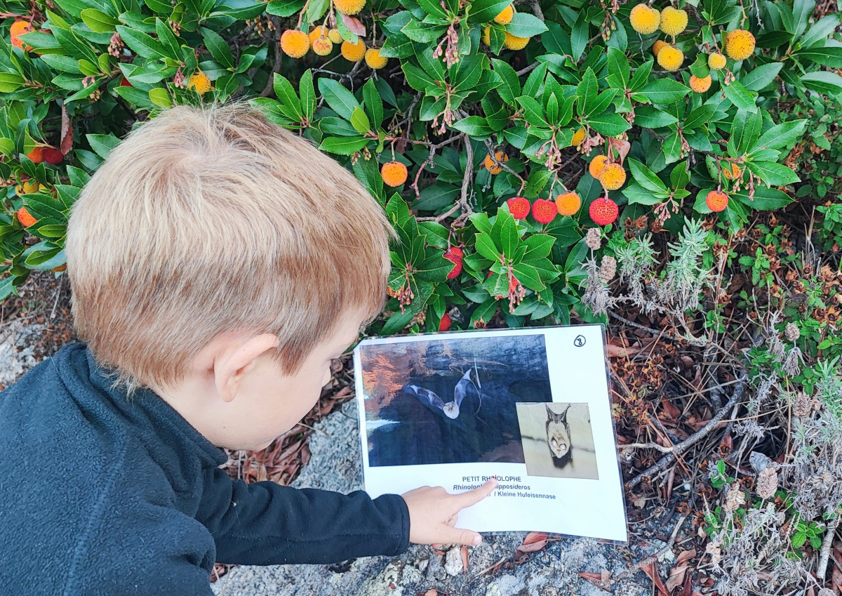 jeu-de-piste-animaux-nocturnes-bonifacio jeu-de-piste-animaux-nocturnes-bonifacio