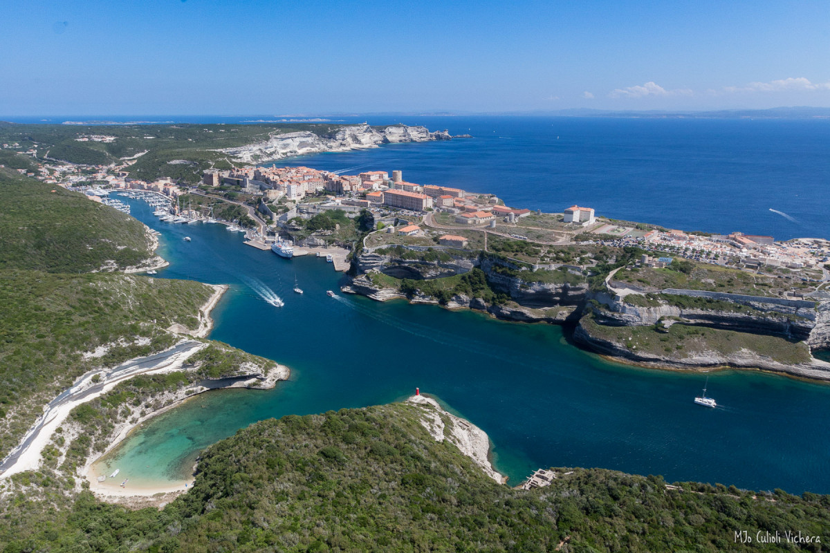 mjcv-img-3542-258636