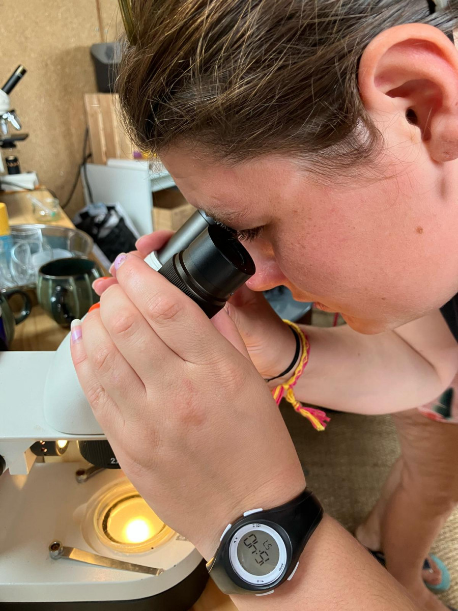 observez-l-invisible-a-viranata-bonifacio observez-l-invisible-a-viranata-bonifacio