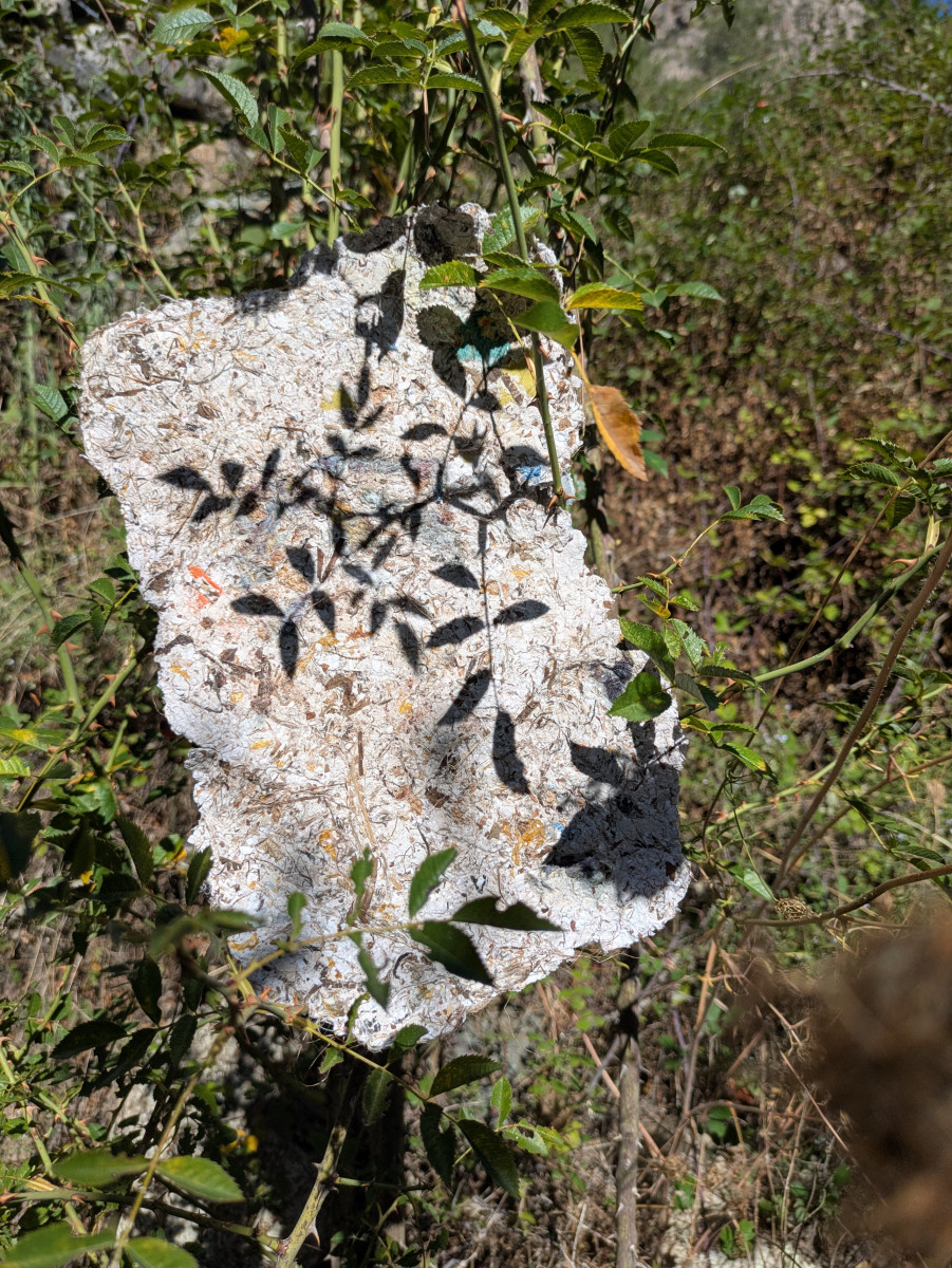 photossymbiose-art-du-papier-bonifacio