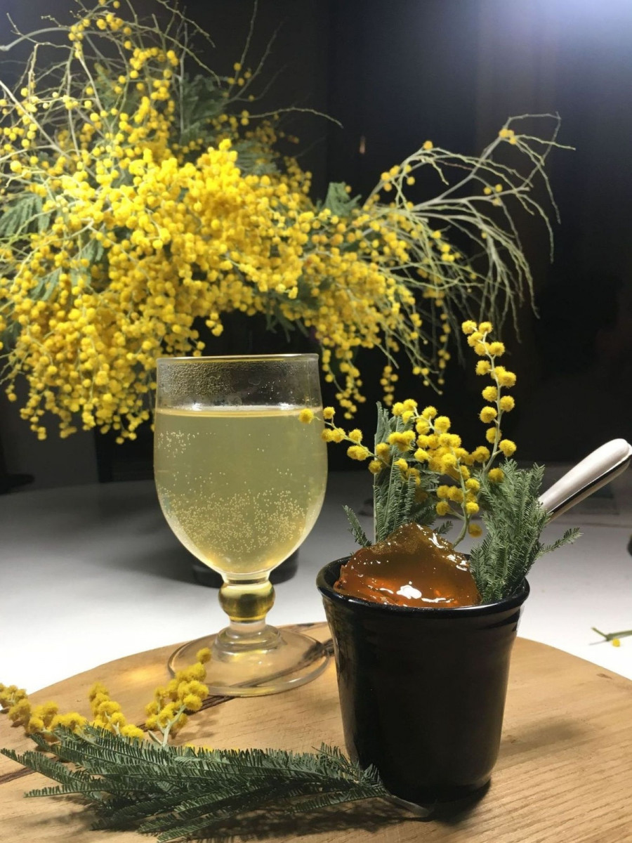 venez-deguster-le-reveil-du-printemps-bonifacio venez-deguster-le-reveil-du-printemps-bonifacio