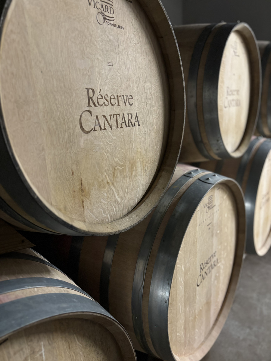 visite-degustation-domaine-de-la-murta