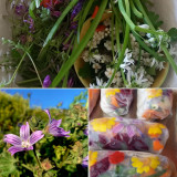 15-2-le-go-ter-printanier-des-petits-lutins-compress-e-319342