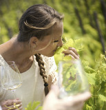 art-du-vin-vivant-capu-verde-bonifacio