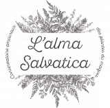 logoalmasalvatica-371388