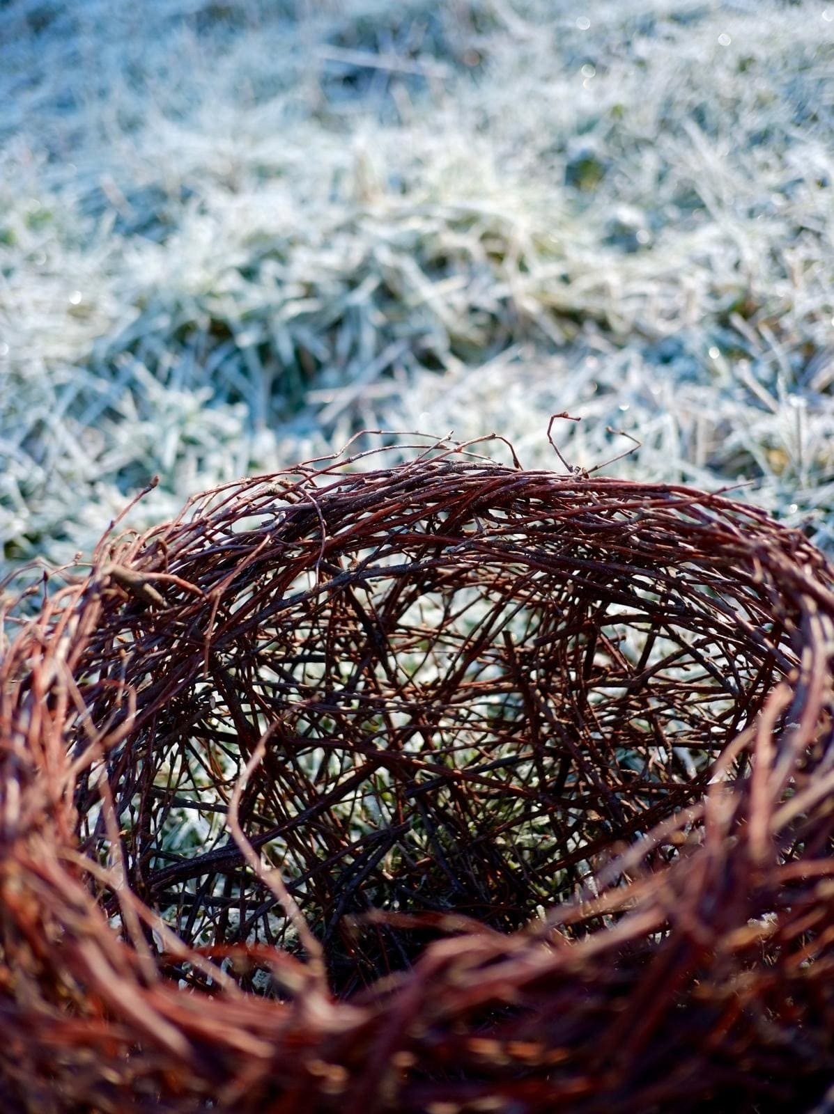 atelier-de-tressage-bonifacio