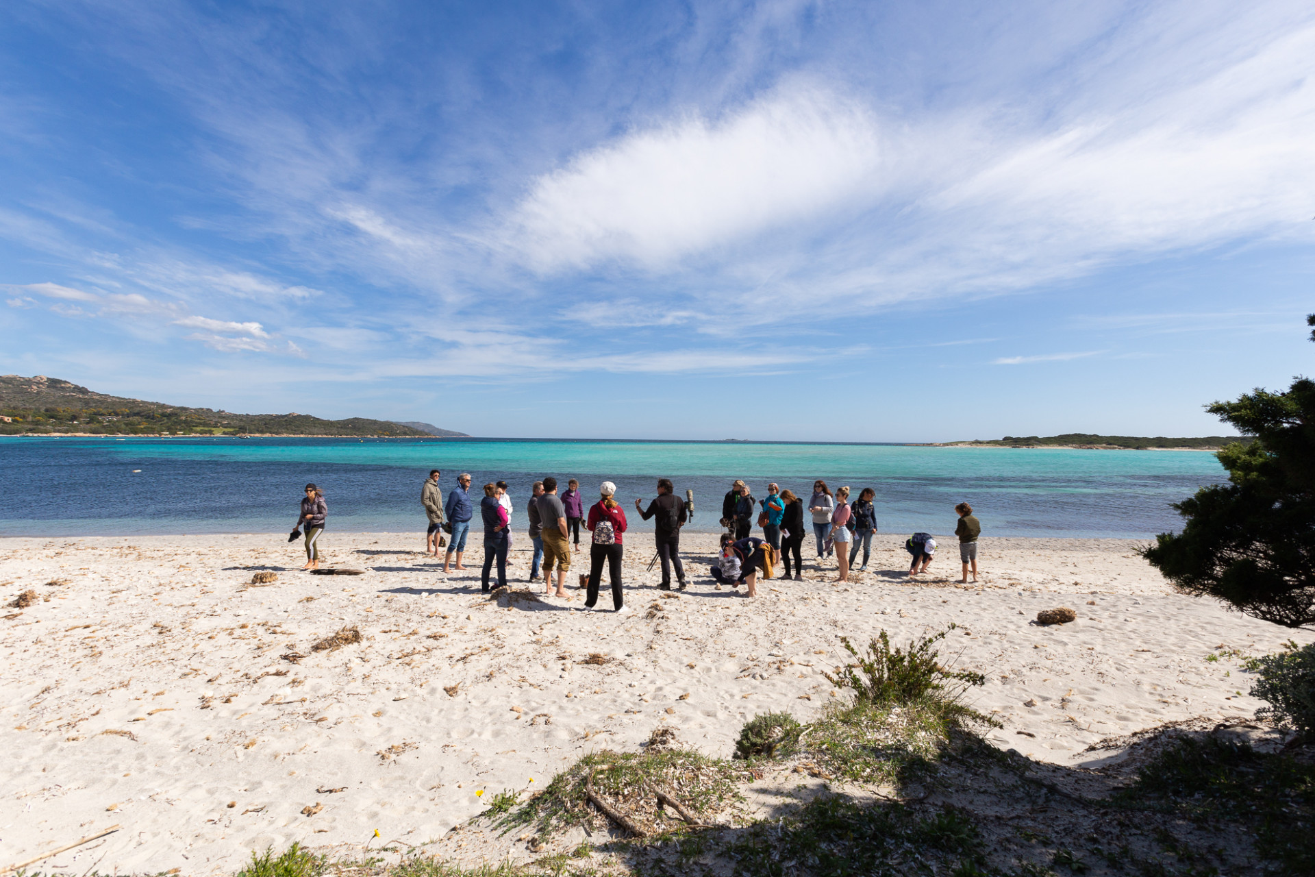 balade-ethnobotanique-bonifacio