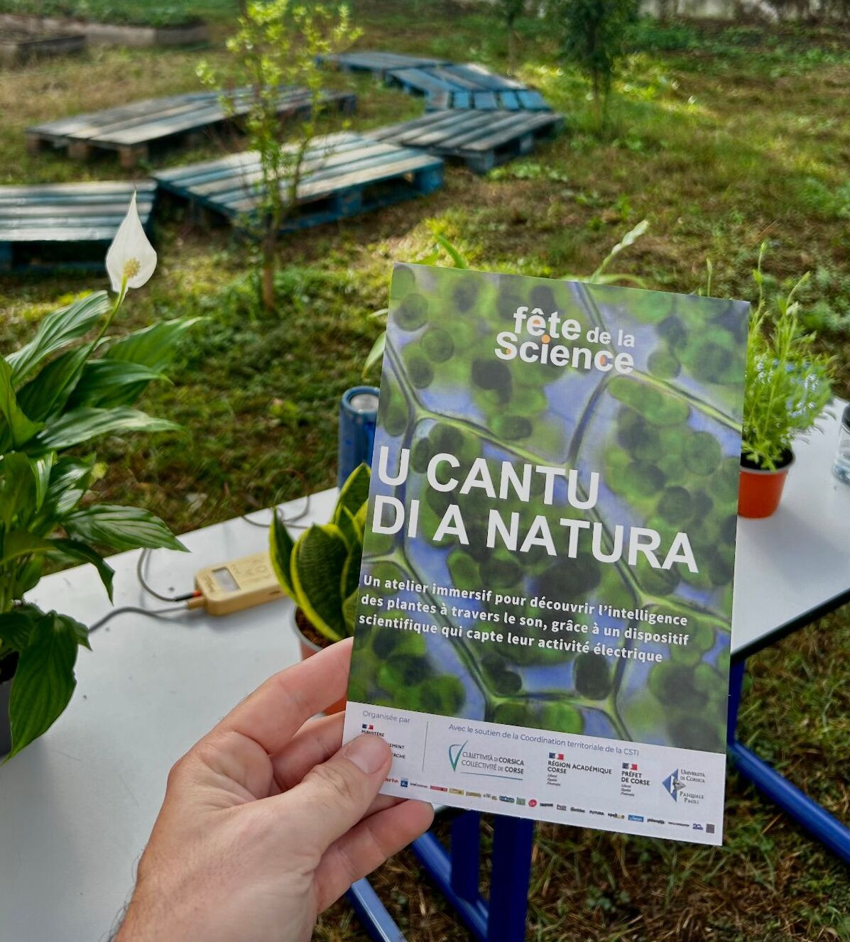 balade-sonore-u-cantu-di-a-natura-bonifacio