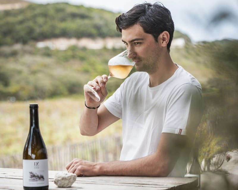 dégustation-vignoble-domaine-zuria-bonifacio