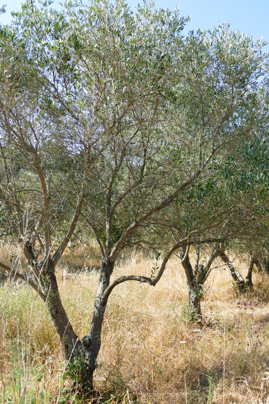 img-20260429-wa0000-371375