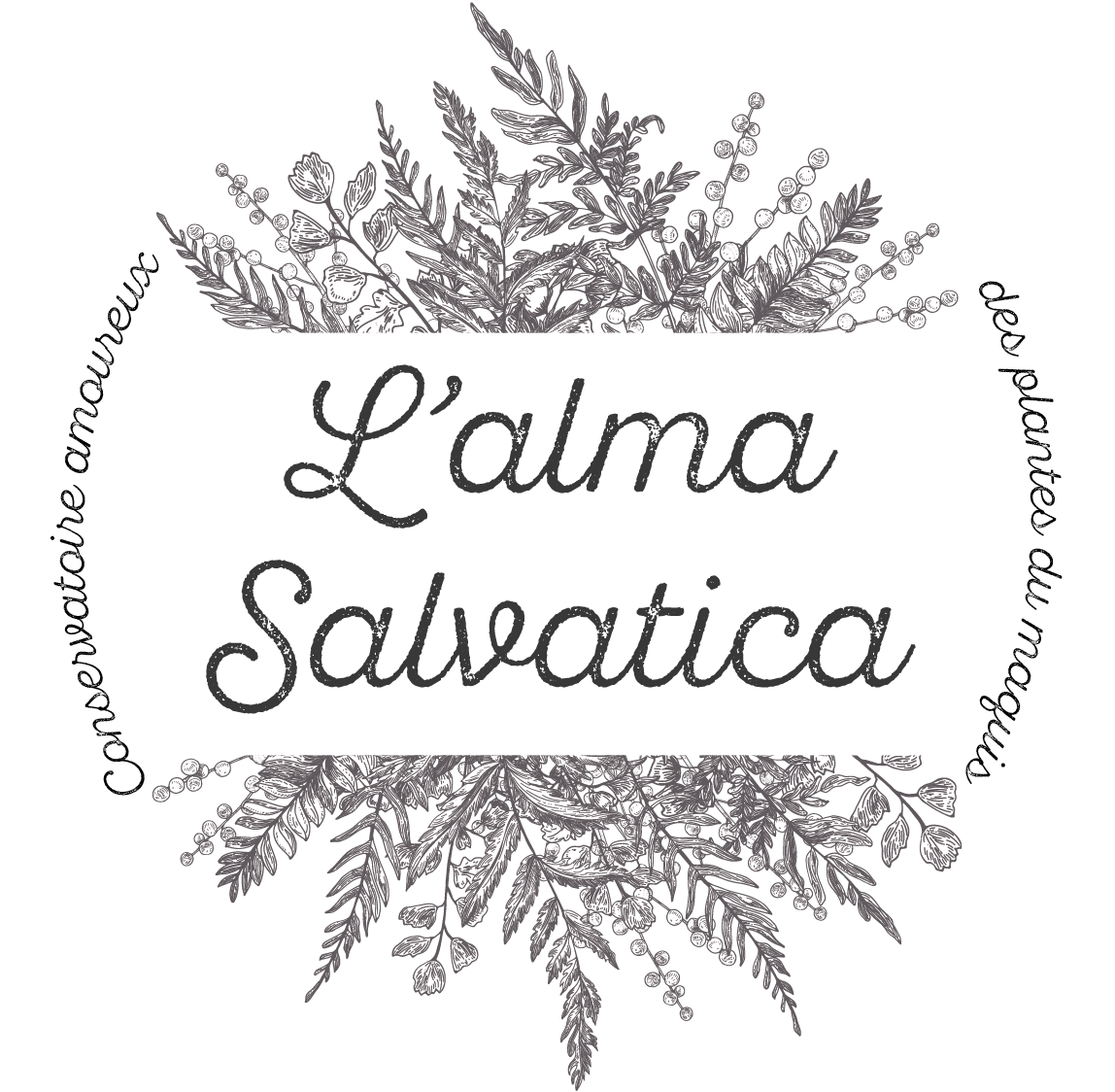 logoalmasalvatica-371388