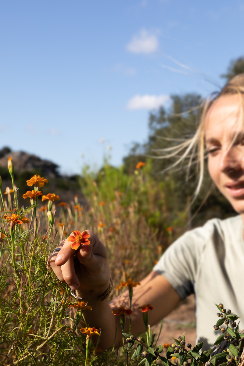 office-de-tourisme-bonifacio-nustrale-low-32-g-santi-laurini-371384