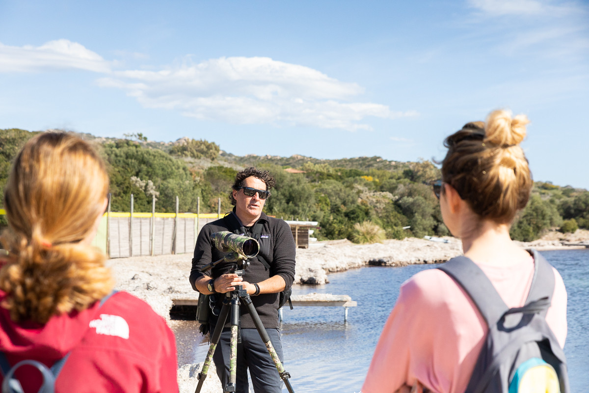 paulpoli-a-l-affût-des-migrateurs-bonifacio