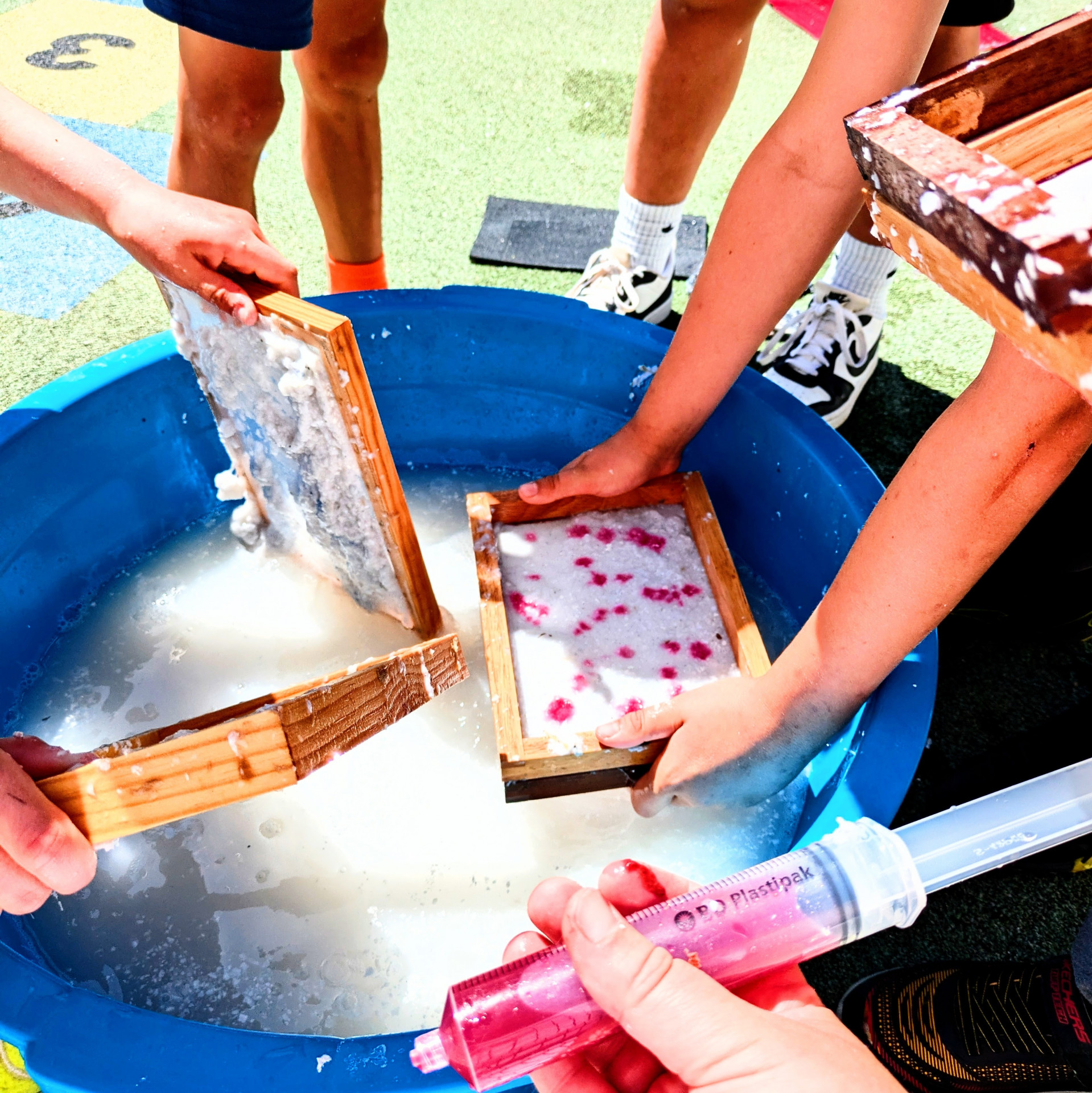 photossymbiose-art-du-papier-bonifacio