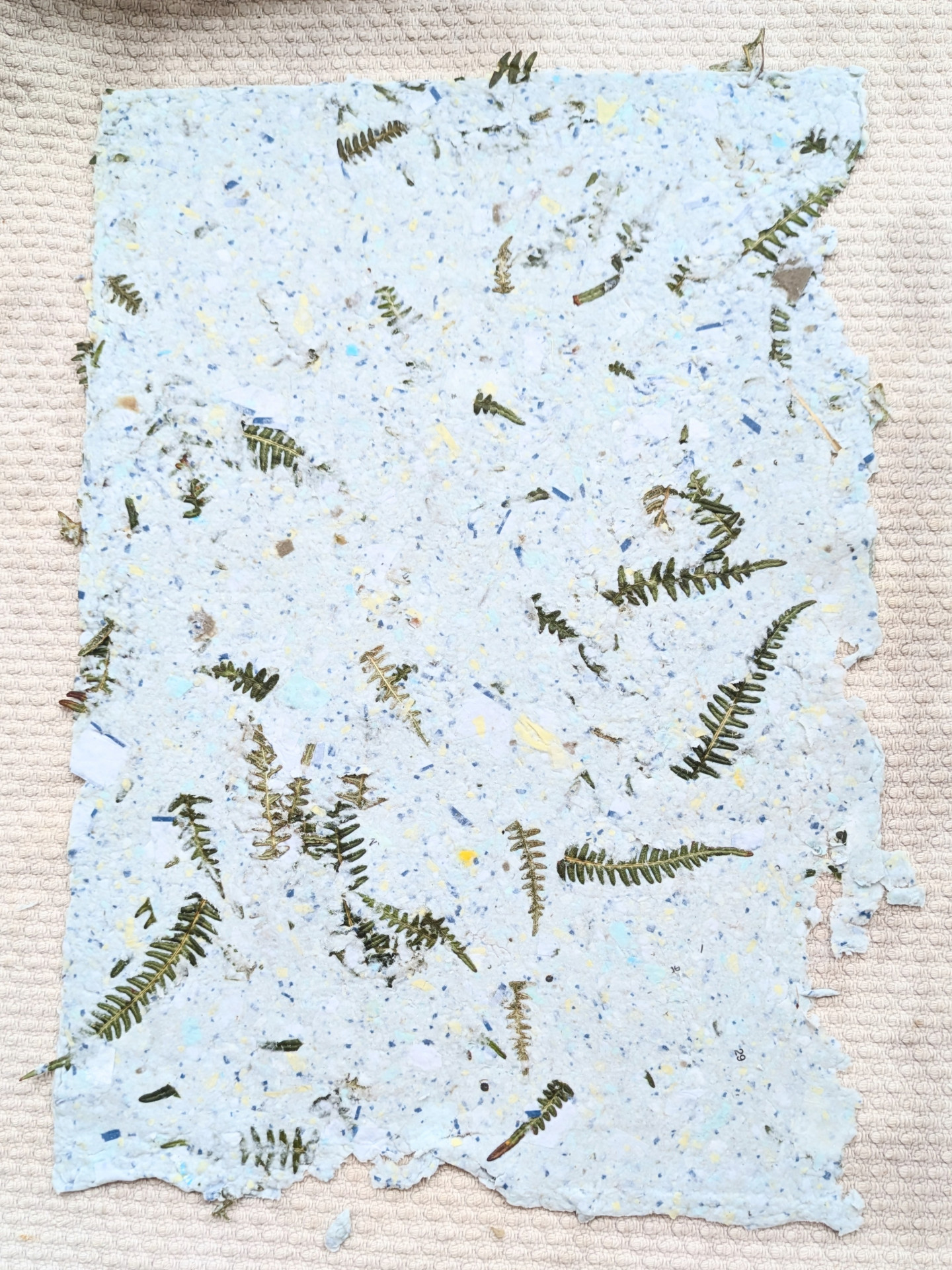 photossymbiose-art-du-papier-bonifacio