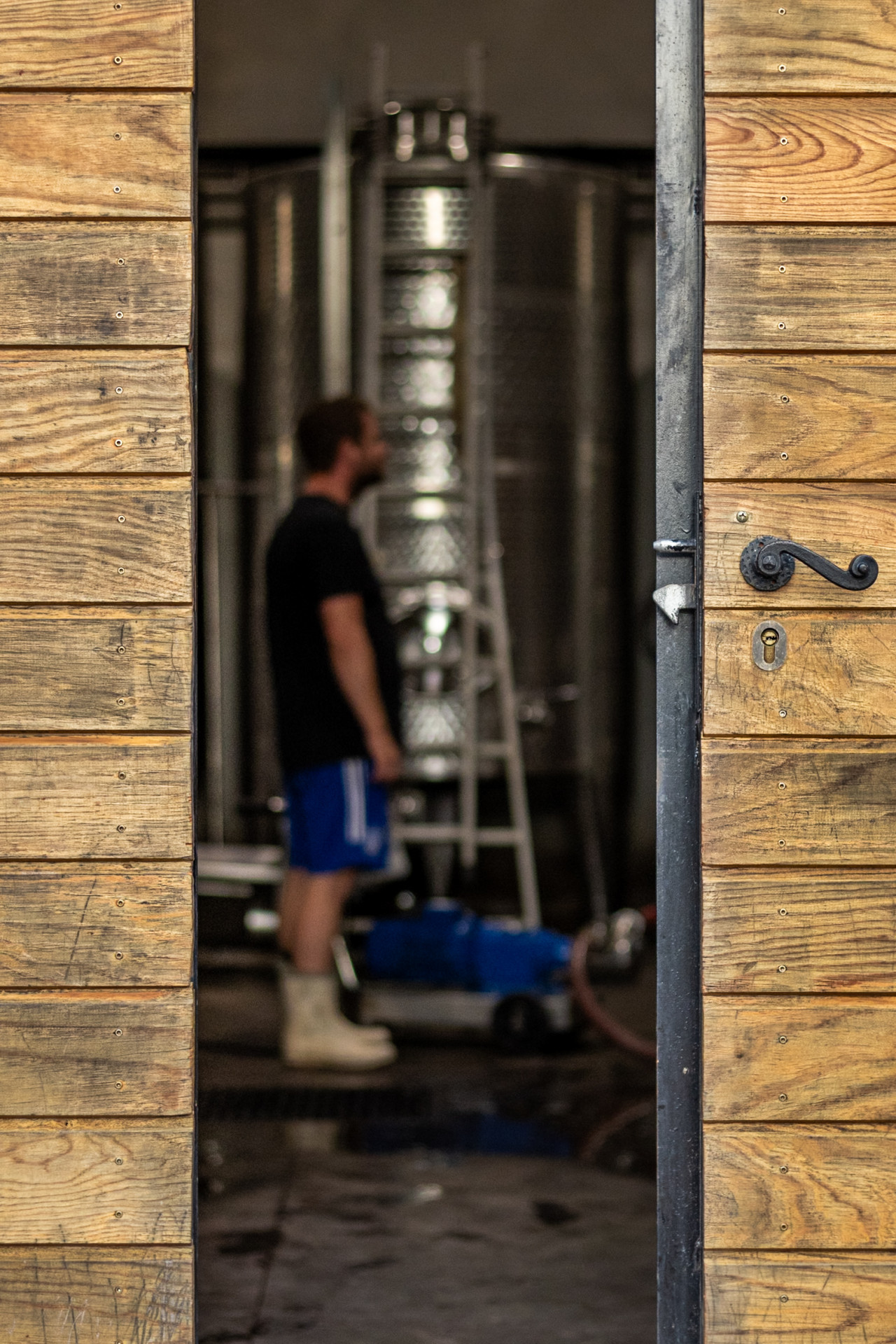 visite-degustation-domaine-de-la-murta visite-degustation-domaine-de-la-murta