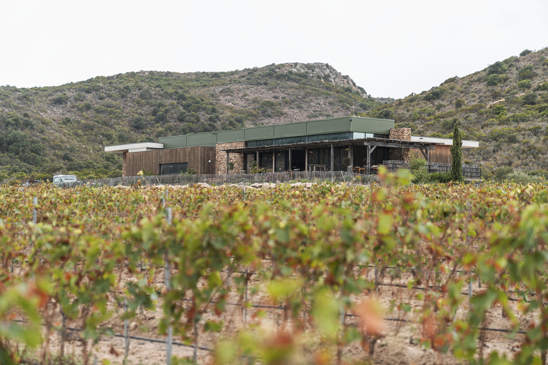 visite-vignoble-domaine-zuria-bonifacio